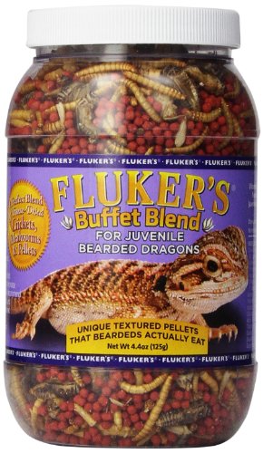 Fluker's Buffet Blend Food for Juvenile Bearded Dragons