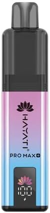 Hayati 6000 Pro Max Plus 6K Rechargable and reusabale (Blueberry Rspberry)