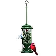Squirrel Buster Standard Squirrel-proof Bird Feeder w/4 Metal Perches, 1.3-pound Seed Capacity, garden green