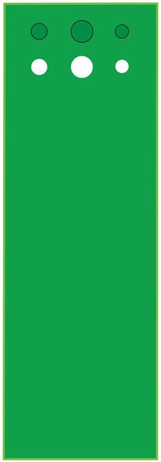 Big Moss Golf Competitor V2 Series 3' X 9' Practice Putting Chipping Green with 3 Cups