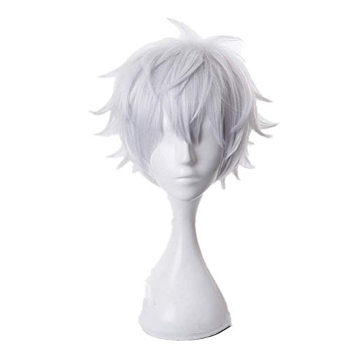 Anime Characters Cosplay Wig silver short Fluffy hair Costume Cosplay Wigs Unisex Anime Characters Play Halloween Christmas Party