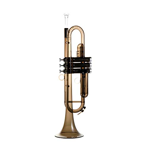 PAMPET Professional Plastic Bb Trumpet Transparent Standard Trumpet Set with 3C Mouthpiece 7C Mouthpiece Bb Trumpets Black