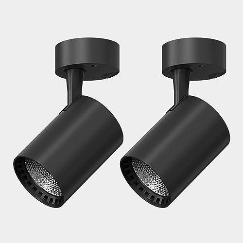 LED Spot Lights Surface Mount Spotlights Set of 2 Directional Ceiling Lamp Adjustment Monopoint Spotlight Accent Lamps for Living Room Bedroom Kitchen Island Cabinet