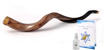 Authentic & Kosher Yemenite Kudu Shofar - 40"-42" Full Polished Finish - Complete Set with Carrying Bag, Anti-Odor Spray & Blowing Guide - by Yaliland