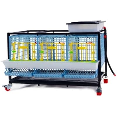 Chicken Cage - 1 Layer H: 15 Power-Washable, Durable, ABS Plastic | Hatching Time