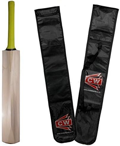 CW Plain Kashmir Willow BAT for Leather Ball Custom Made Thick Edges Junior Kashmir Willow Cricket BAT Youth Boys Men Adult Full Size BAT for Men