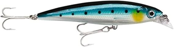 Rapala X-Rap Saltwater 10 Fishing Lures