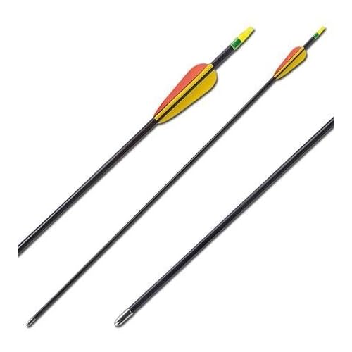 28 Fiberglass Target Practice Arrows 1 Dozen