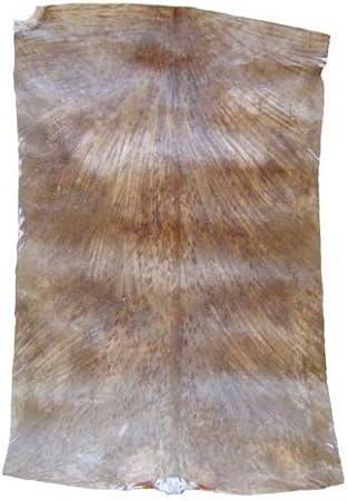Africa Heartwood Project West African Goat Skin Djembe Drum Head - Standard Thickness, Shaved - Full size (21" minimum)