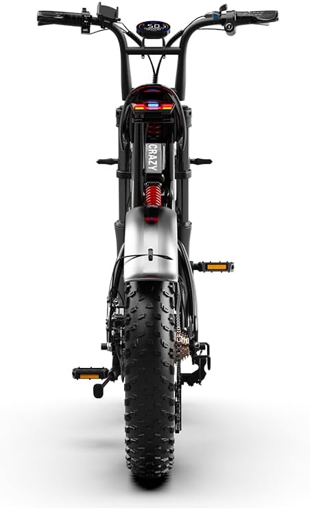 DEEPOWER S20 Men's 1500W Ebike: 20" Fat Tire Electric Bicycle, 48V 20Ah Removable Battery, 35-120 Miles Range, 32 MPH Top Speed