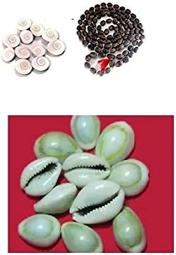 Planet 007 Combo of Kamal gatta Kamalgatta Mala, Gomti Chakra 11 pc & White Kaudi 11 pc