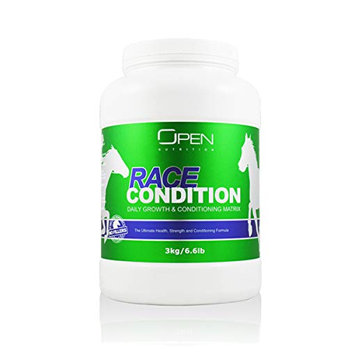 Ultimate Horse Muscle Growth and Repair Supplement - Race Condition