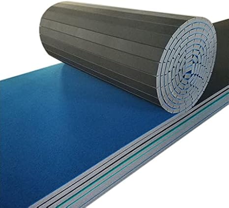 Gymnastics Exercise Mat Roll Out - Sturdy Foam Wrestling Mat with Grippy Carpet Top for MMA, Cheerleading, and Fitness (3m x 1.83m x 4cm)