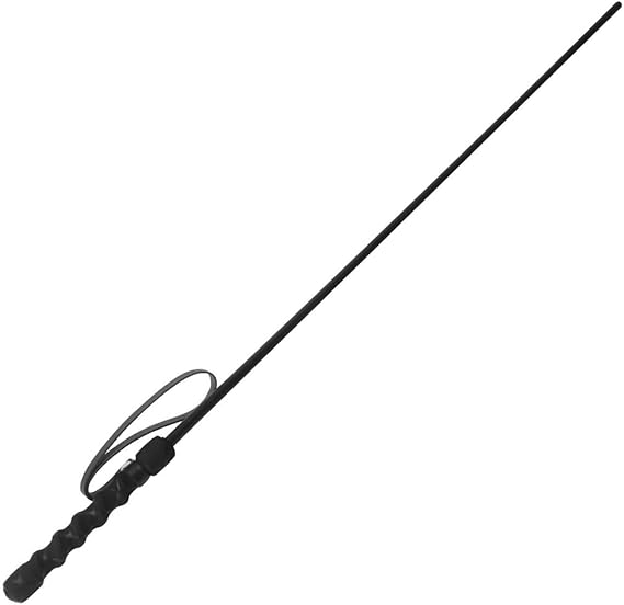 Intense Impact Cane - Black