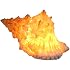 KC Hawaii Conch Shell LED Table Lamp