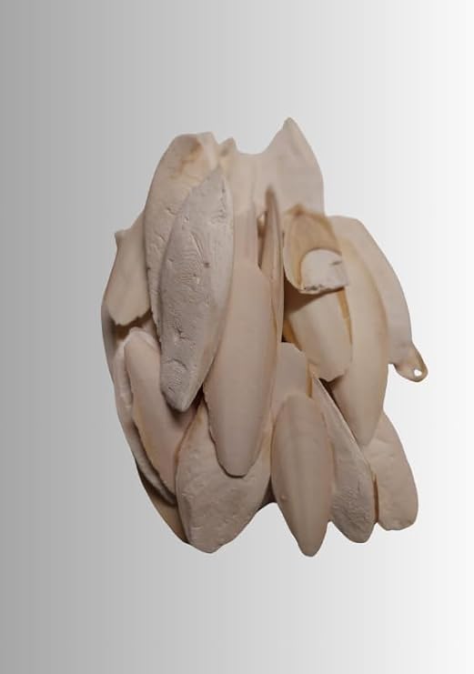 Kalamar Kemiği 100 Gram+Mineral Blok ve Portakallı Enerji Blok (Muhabbet,paraket,kanarya Seti)