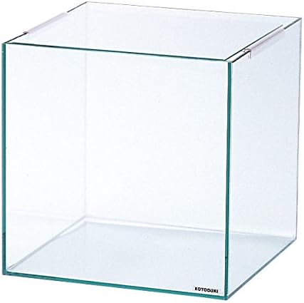 Kotobuki Kotobuki Crystal Cube 300