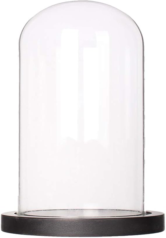 Somush Glass Cloche Bell Jar Display Dome with Black Wooden Base Dia 6" x H 10"