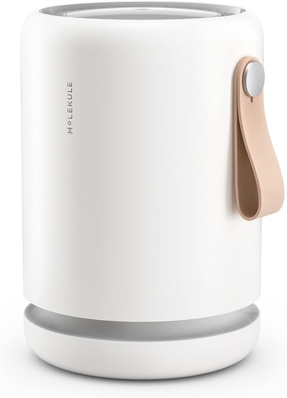 Molekule Air Purifier Mini+ Purifies Rooms Up to 250 Sq Ft - Smart Purifier with High Pollutant Capture Rate - Air Quality Monitoring Capabilities - White