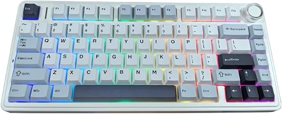 Shaking Tank x Aula F75 Gasket Mechanical Keyboard, 75% Wireless Hot Swappable Gaming Keyboard with Five-Layer Padding&Knob, Bluetooth/2.4GHz/USB-C, RGB (Light Blue, LEOBOG Reaper Switch)