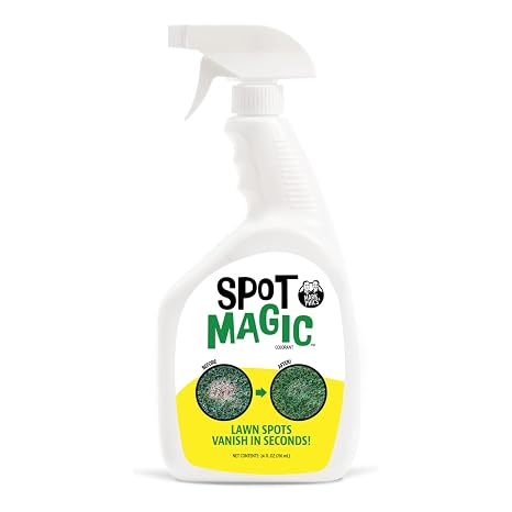 Spot Magic by Mark & Phils - Green Instant Lawn Grass Colorant Spray 24oz - Non-Toxic Pet & Kid Safe,- Long-Lasting Results for Concealing Brown & Pet-Damaged Grass Areas