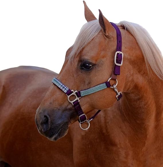 Kensington Premium Breakaway Halter with Padded Nose Added Breakaway Safety Measures Snap at Throat for Identical Fit Each Time
