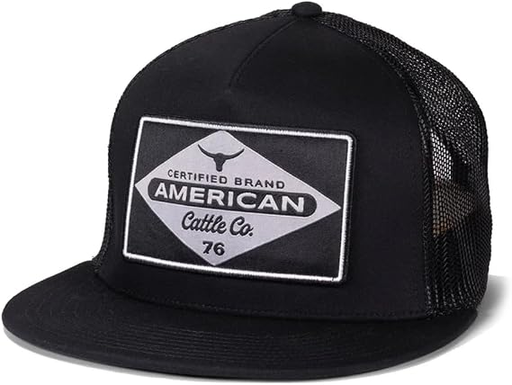Billboard Adjustable Snapback Western Hat