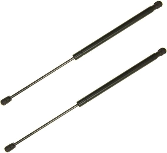 2Pcs 20.22 in Rear Back Lift Supports