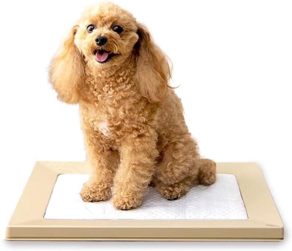 Iris Ohyama Dog Toilet, Square Dog Tray, Just Pinch Magnet, Regular, Beige, Washable