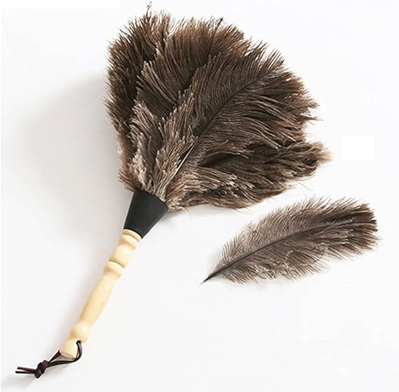 Ostrich Feather Duster, Household Dust Removal Tool with Wooden Handle, Quality Genuine Ostrich Feather Duster. (short (12.6 inch))