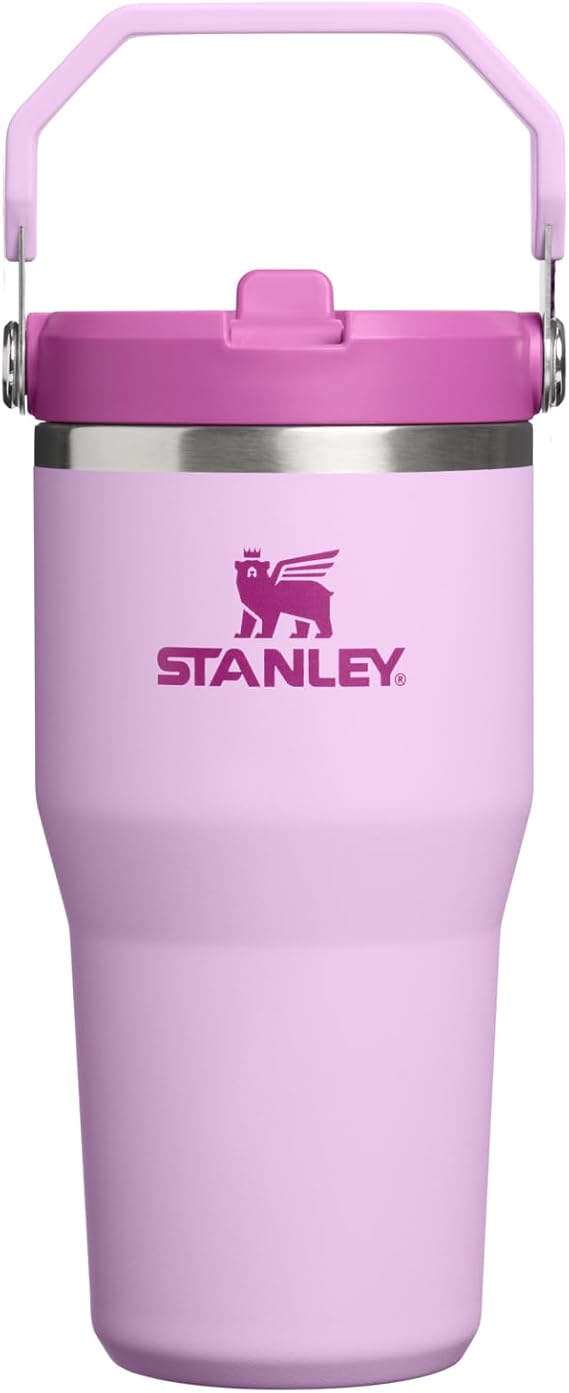STANLEY Unisex's The IceFlow Flip Straw Jug
