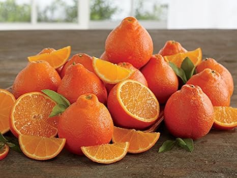 Rare Florida Honeybell Oranges Honeybell Tangelos Grove Fresh Three Trays, 30lbs