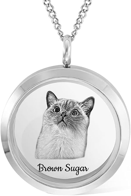 Custom Pet Fur Locket Necklace Urn Necklace for Ashes with Name Photo Portrait Cremation Jewelry Stainless Steel Pet Memorial Keepsake Pendant Necklace Loss of Dog Cat Jewelry Gift for Women Men