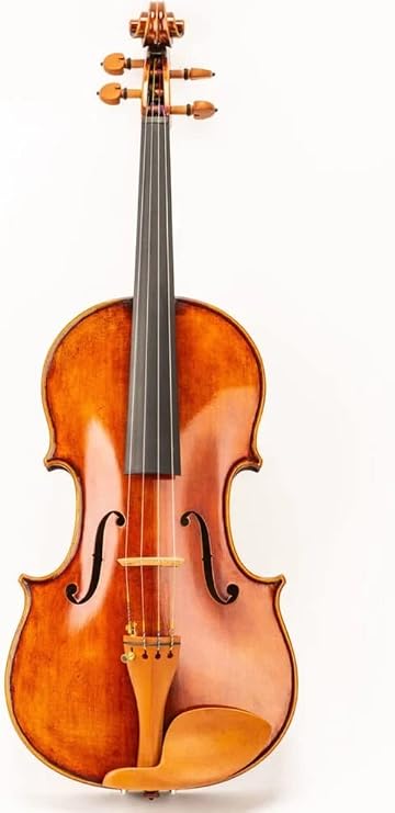 Violin - Left Handed Model 301 - Violin Outfit with Open and Clear Sound (4/4 - Left Handed)