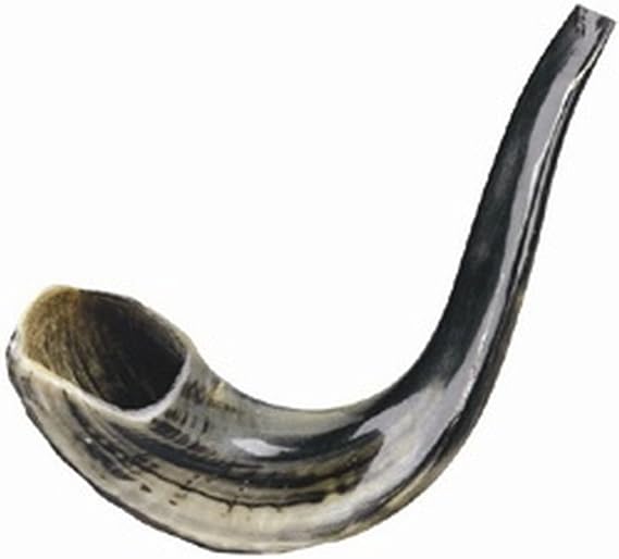 Ultimate Judaica Kosher Shofar Ram's Horns - Shofar Size 1-9.5" - 11.5"