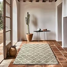 EVERGRACE Area Rugs for Living Room 3x5, Boho Trellis Faux Wool Indoor Outdoor Rugs, Washable Rugs for Bedroom Entryway Dining Room Hallyway, Low Pile Floor Mat Carpet for Home Decor, Taupe Brown