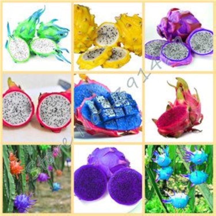 50pcs bag rare 9 kinds of pitaya seeds, very beautiful fruit seeds dragon fruit seeds mix