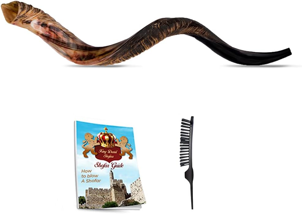 Shofar Horn Instrument - Shofar Angels Musical Instrument - Horn Gift From Israel - Kosher Jewish Shofar - Holy Instrument For Jewish - Traditional Israeli Horn - Half Polished 43-45 - Super Jumbo