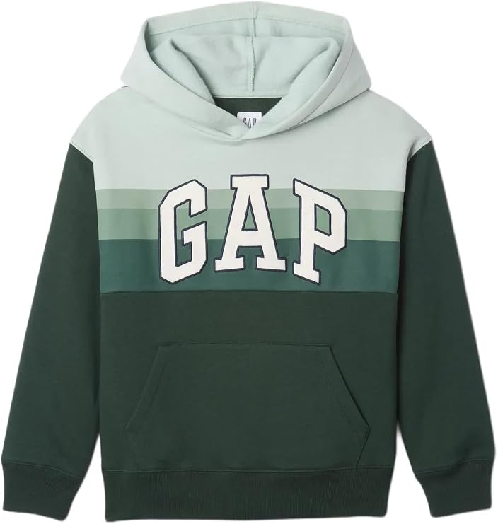 GAP Boys' Logo Pullover Hoodie