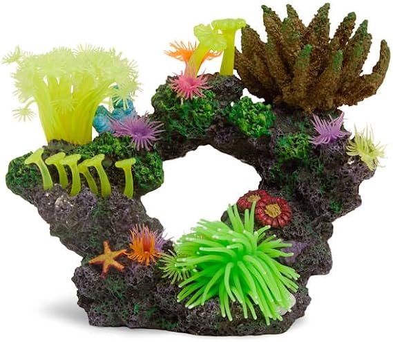 imagitarium by Petco Coral with Silicone Swim-Through Small