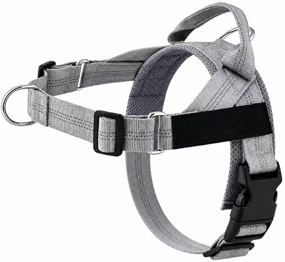 Pawly Lab Co No-Pull Harness