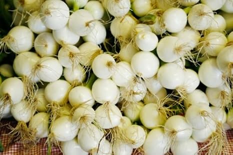 USA White Pearl Onions - Avg 7 Lb Case, Gourmet Succulent Crunch, Bulk Packaging