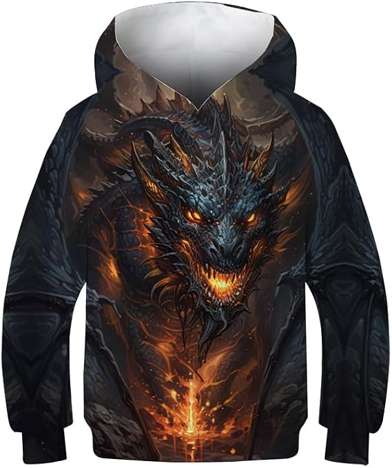 Kid's Print 3D Dragon Hooded Hoodies Sweatshirts