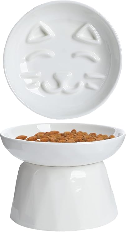 Raised Slow Feeder Cat Bowl, Ceramic Elevated Cat Slow Feeder, Healthy Eating for Wet & Dry Food, Sturdy & Grippy, Pet Puzzle Food Plate, Prevent Vomitting Indigestion, Dishwasher Safe
