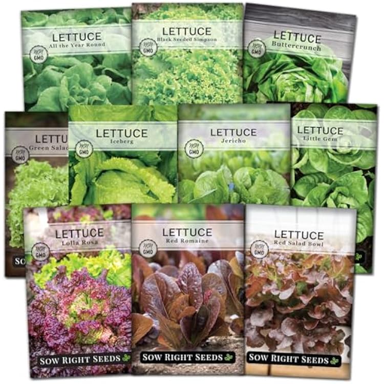 Sow Right Seeds - Large Lettuce Seed Collection for Planting - Buttercrunch, Jericho, Iceberg, Salad Bowl, Little Gem, Black-Seeded Simpson, Lolla Rosa - Non-GMO Heirloom - Outdoors or Hydroponics