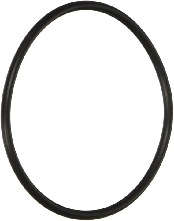 Pentair 59000600 Bulkhead O-Ring Replacement FNS Plus Pool and Spa D.E. Filter
