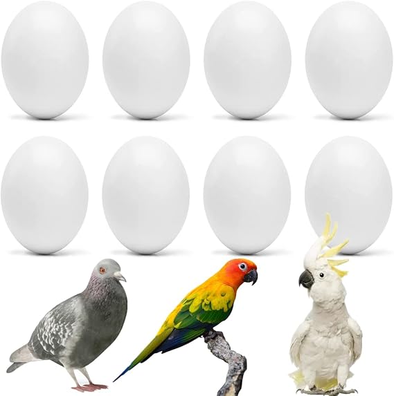 8Pcs Fake Bird Eggs Stop Egg Laying for Medium and Large Parrots | African Grey, Pigeon, Caique, Cockatoo, Sun Conures and Mini Macaw