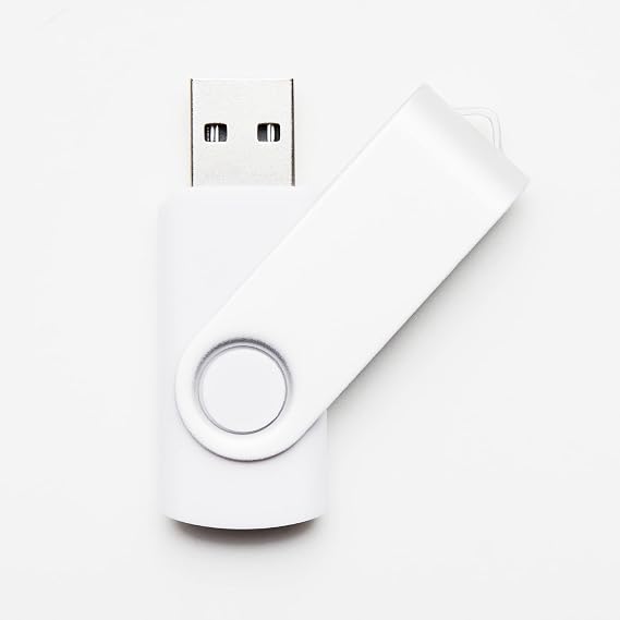 1GB White USB 2.0 Flash Drive Wholesale Lot Bulk Memory Stick