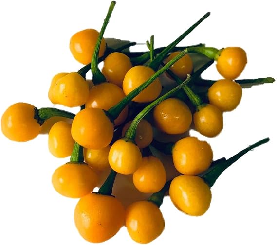 Aji Charapita Charapa Wild Peruvian Heirloom Pepper Premium Seeds for Planting Packet