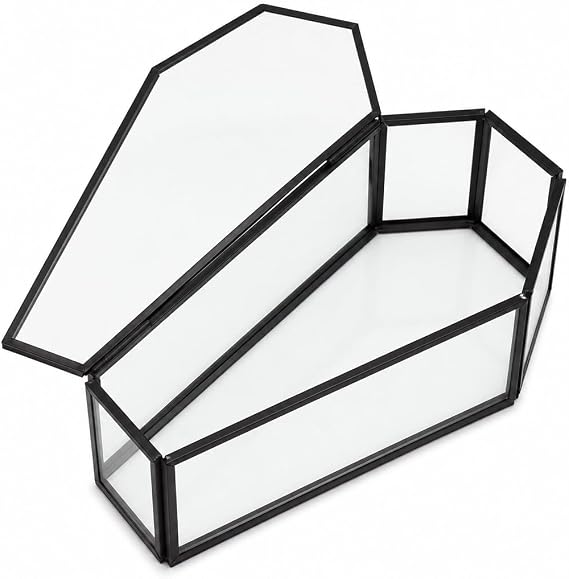 Small Glass Coffin Display Box, Gothic Decor Case for Oddities & Keepsakes